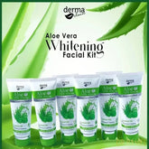 Derma Clean Aloe Vera Whitening Facial Kit - 6 pcs